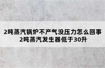 2吨蒸汽锅炉不产气没压力怎么回事 2吨蒸汽发生器低于30升